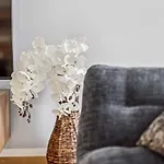 Old Town Gem By Grossmuenster Ac Free Parking Apartment *