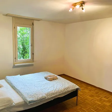 3 Room Old Town Flat - Munsterb Apartment Zurich