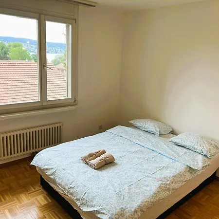 3 Room Old Town Flat - Munsterb Apartment Zurich