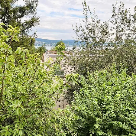 Apartment 3 Room Old Town Flat - Munsterb Zurich