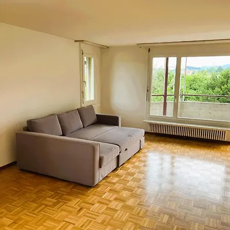 Apartment 3 Room Old Town Flat - Munsterb Zurich