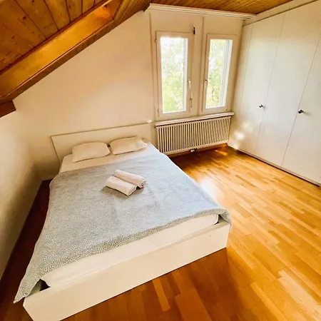 3 Room Old Town Flat - Munsterb Apartment Zurich