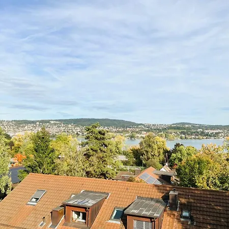 3 Room Old Town Flat - Munsterb Apartment Zurich