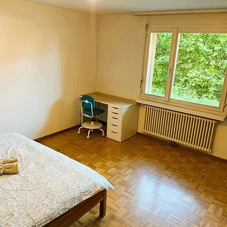 Apartment 3 Room Old Town Flat - Munsterb Zurich