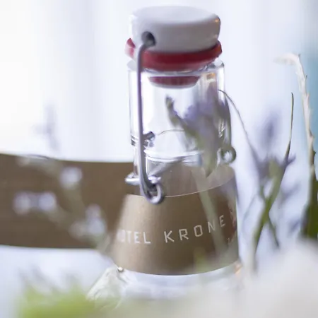 Krone Unterstrass Zurich