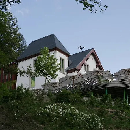 Aparthotel & Rigiblick