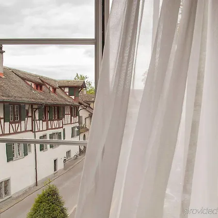Hotel Villa Florhof 3* Zurich