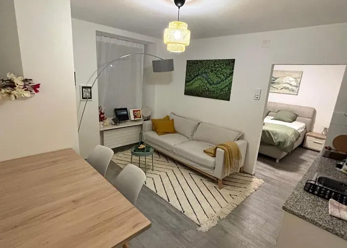 Top Apartment In Center Of Zurich