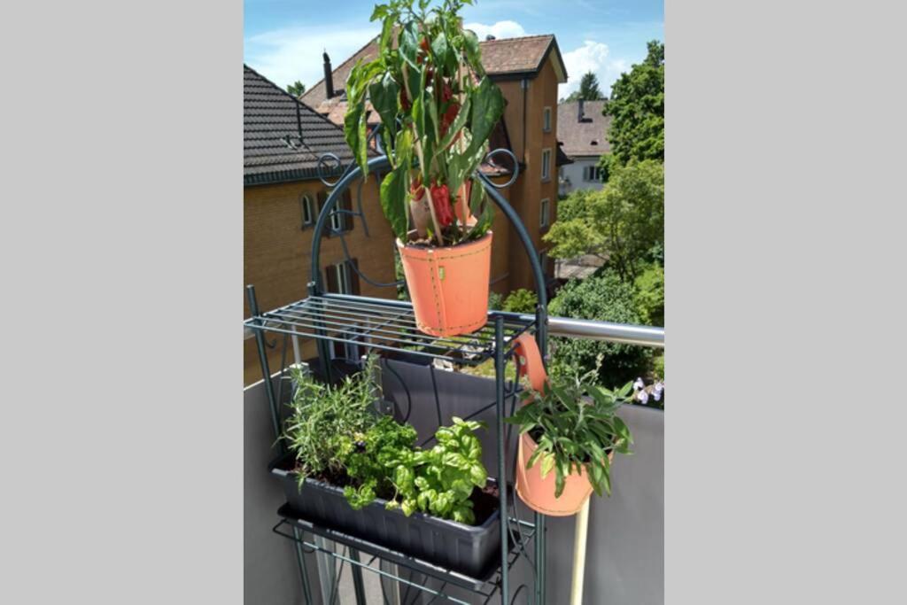 Apartment Turicum Mit Balkon Und Parkplatz