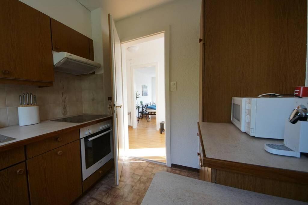 Turicum Mit Balkon Und Parkplatz * Zurich