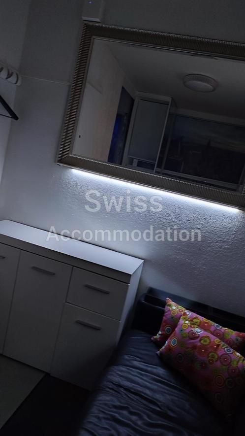 Swiss Guest house *