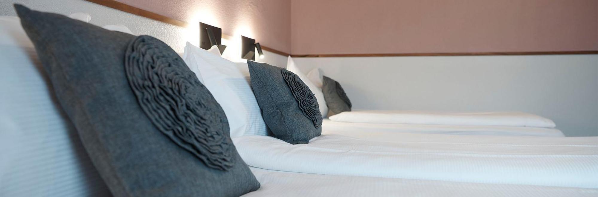 Hotel Hottingen - Near Old Town And Lake 3*