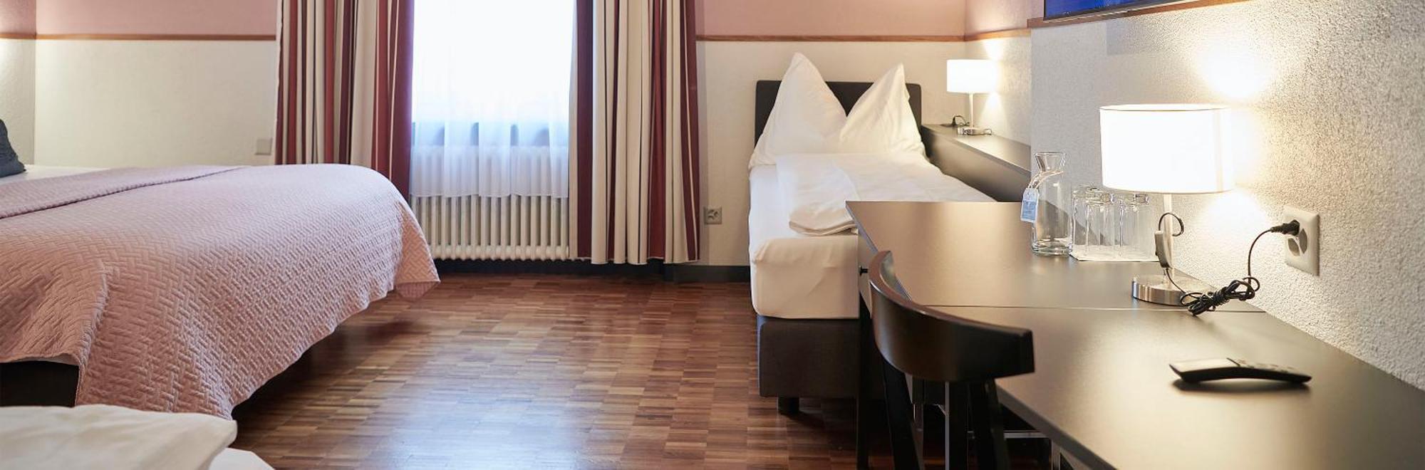 Hotel Hottingen - Near Old Town And Lake Hotel Zurich