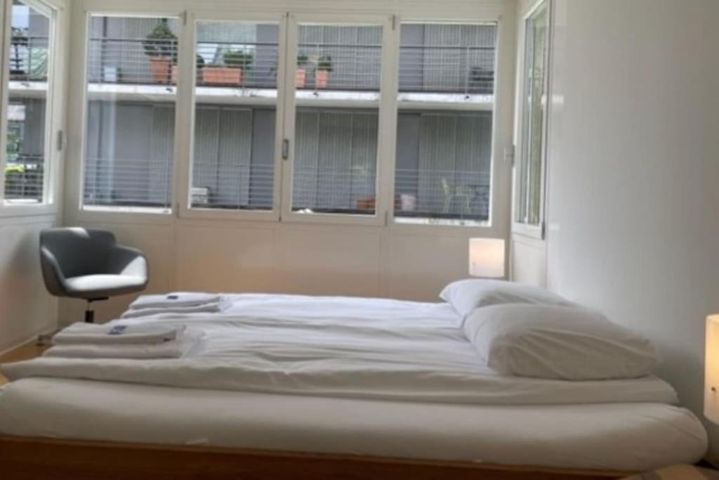 Fantastic 2 Bd Flat - Duke1 Zurich