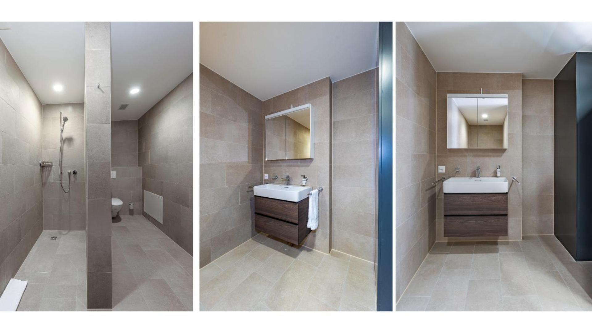 Wollishofen Station 2 Bedroom Luxury Apartment