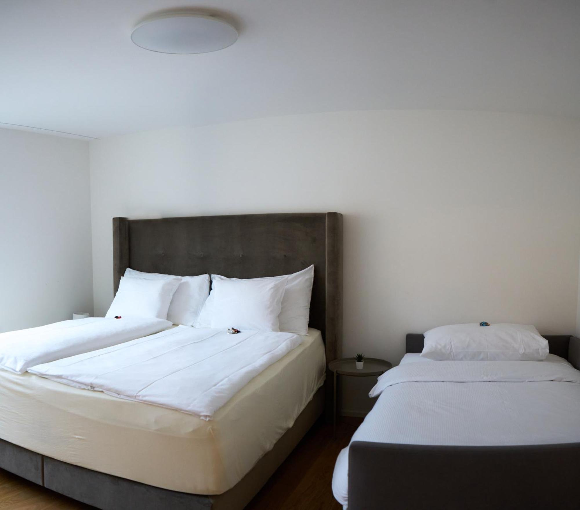 Apartment Wollishofen Station 2 Bedroom Luxury *