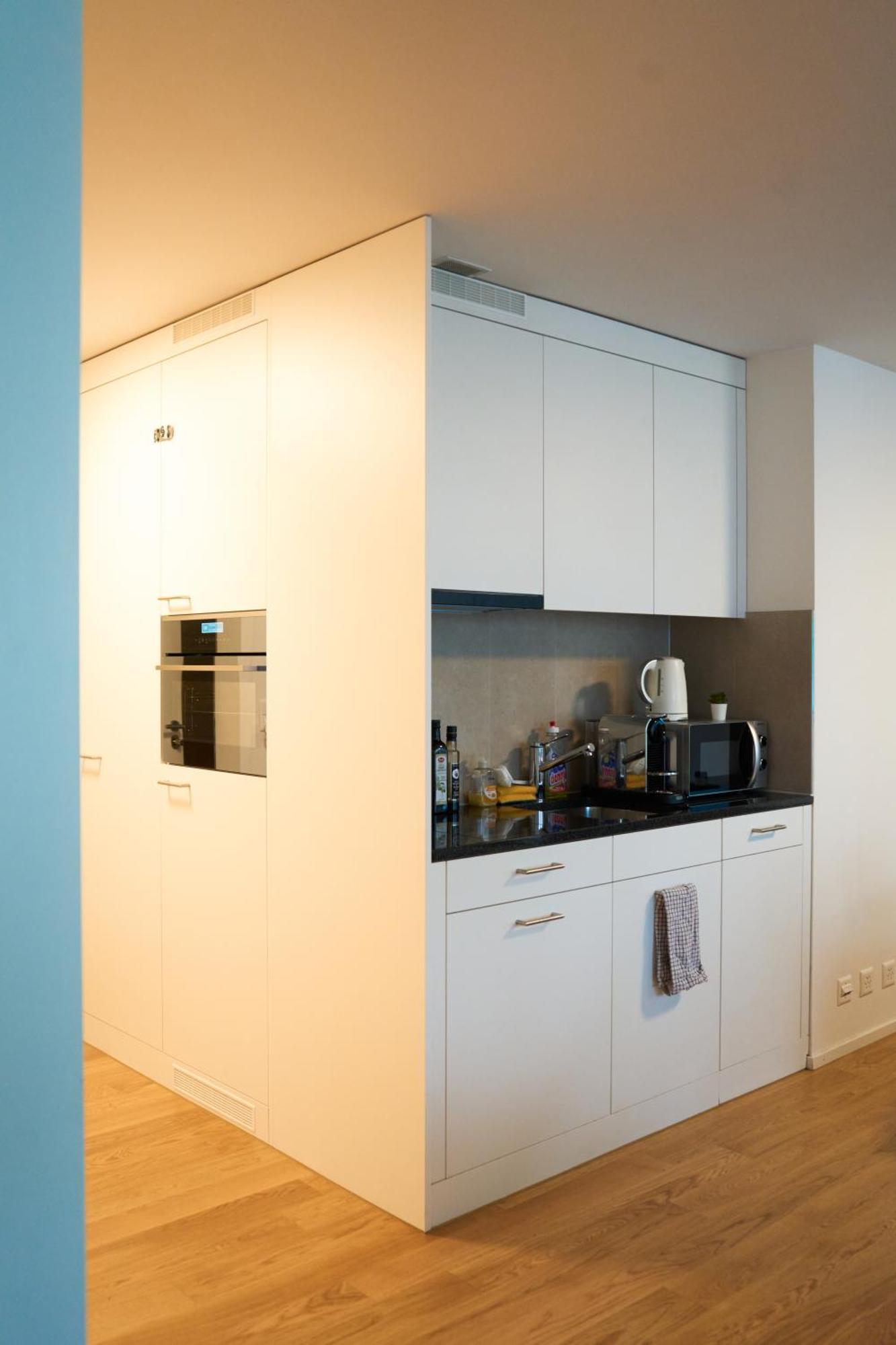 Apartment Wollishofen Station 2 Bedroom Luxury Zurich