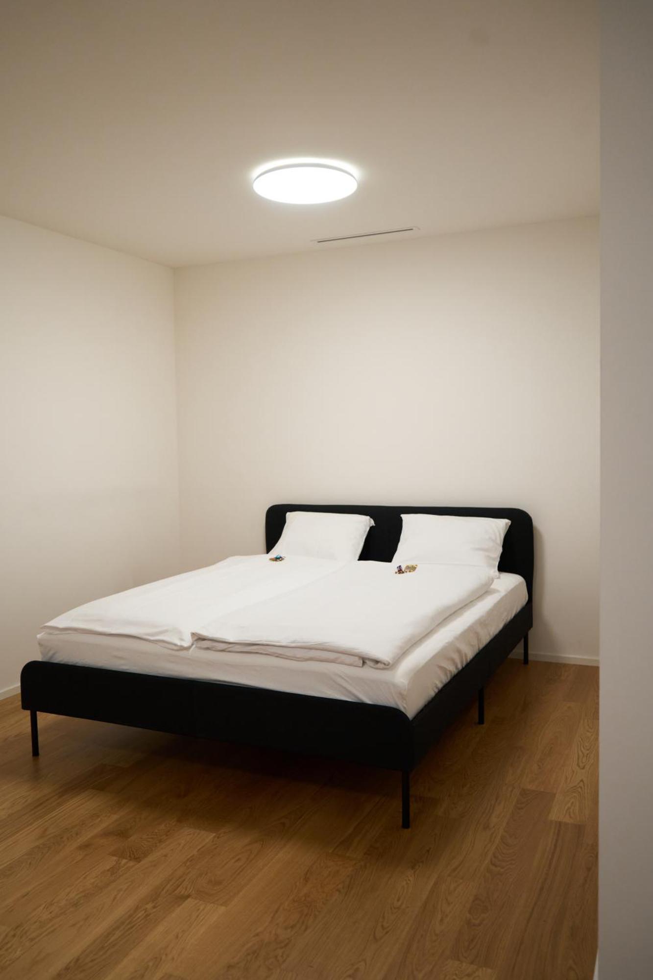 Apartment Wollishofen Station 2 Bedroom Luxury Zurich