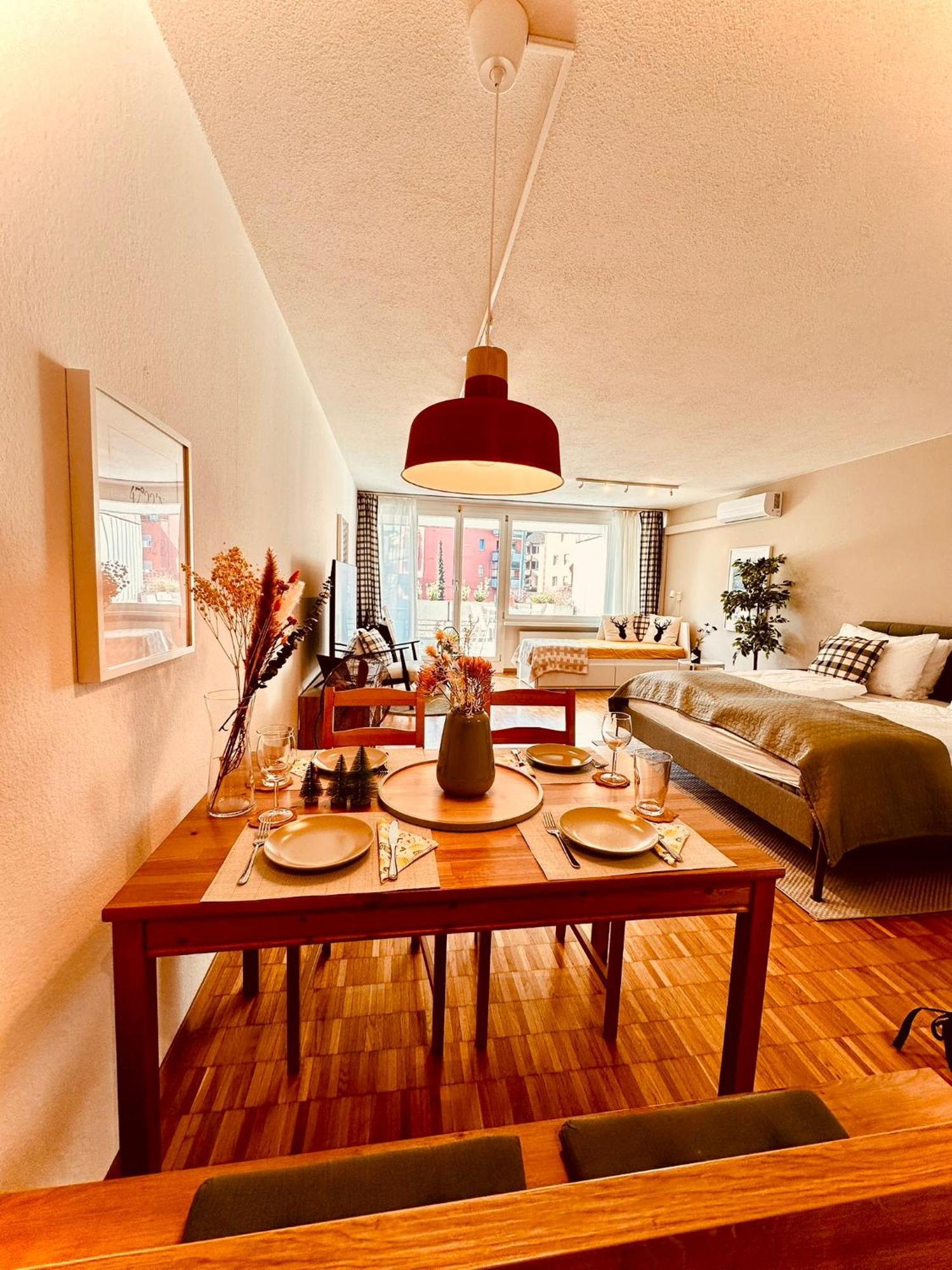 New With Sunny Terrace & Air Condition Zurich