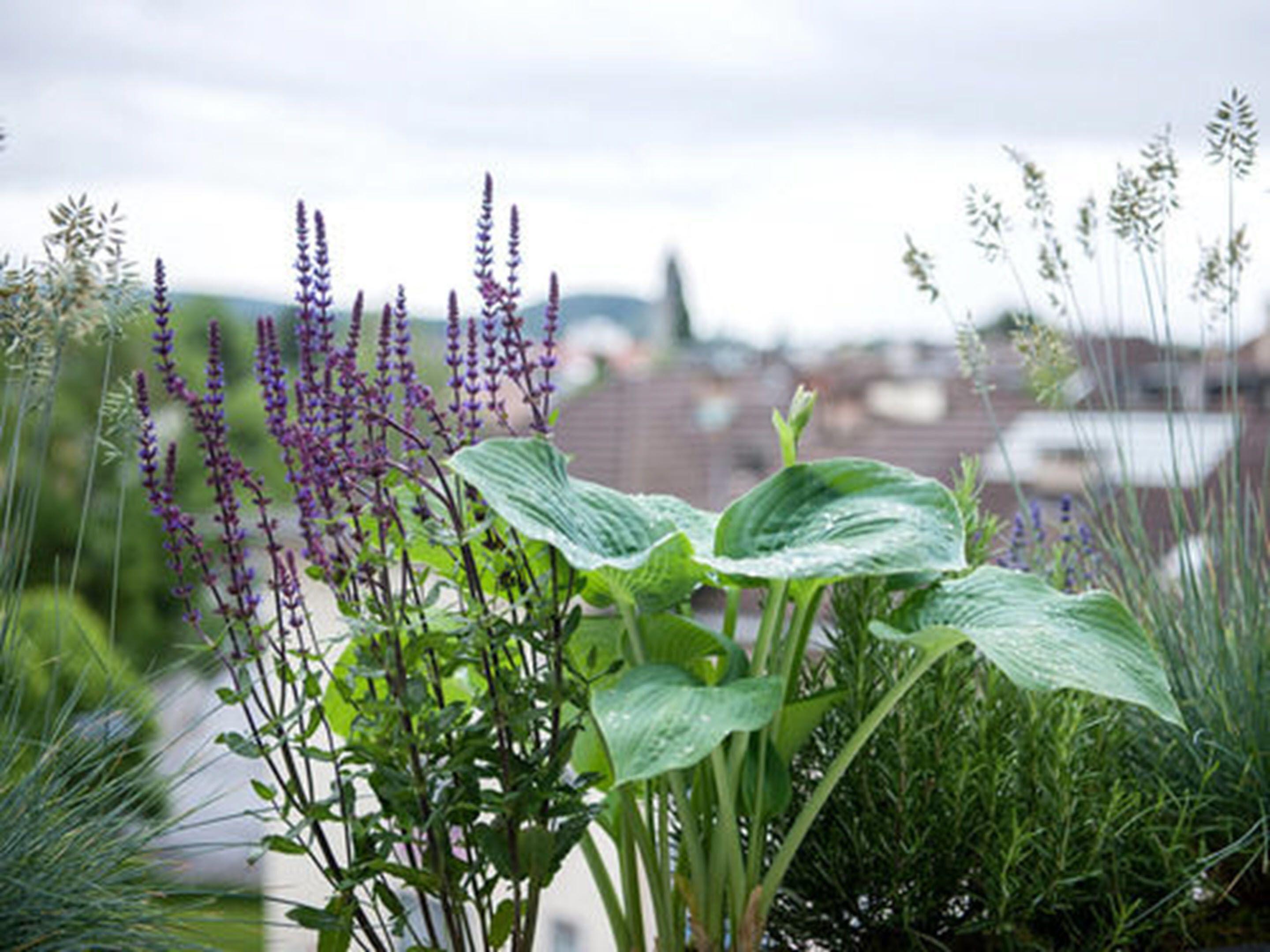 Hotel Hottingen - Near Old Town And Lake Zurich