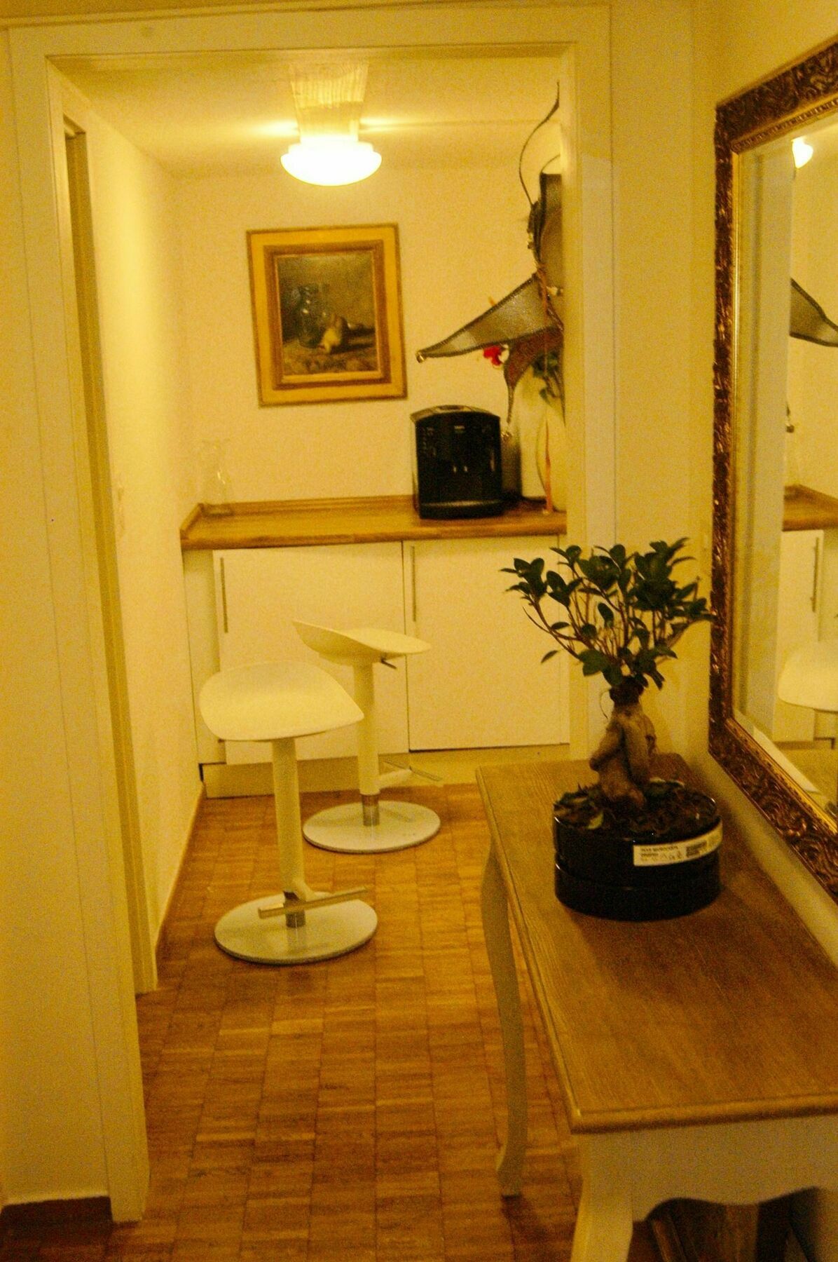 Apartment Lindas Beauty Zurich