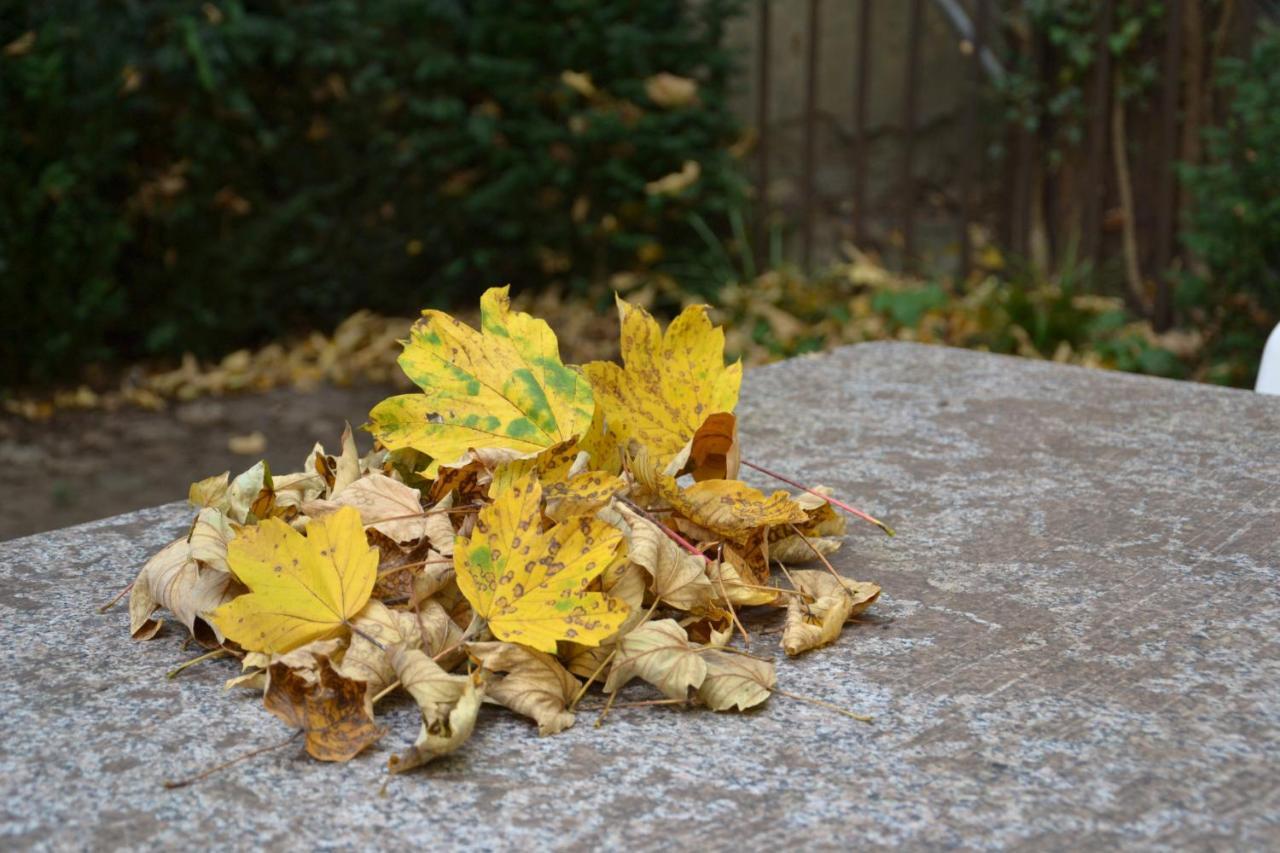 Inside Five Aparthotel