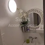 Swiss Accommodation
