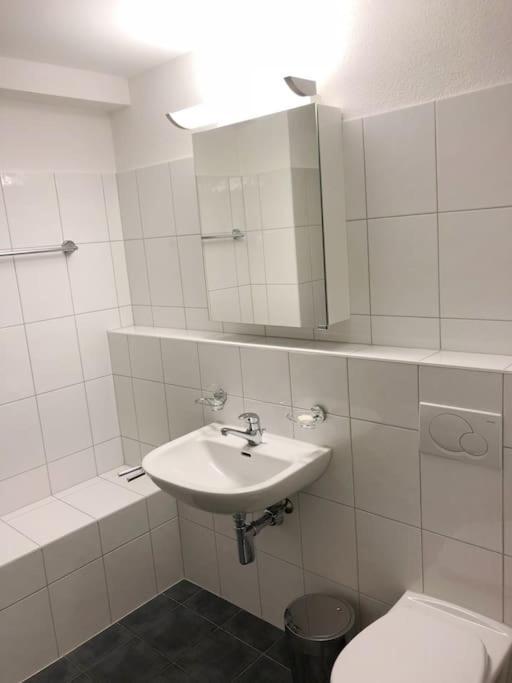 Apartment Centrally Located, Spacious Modern Zurich