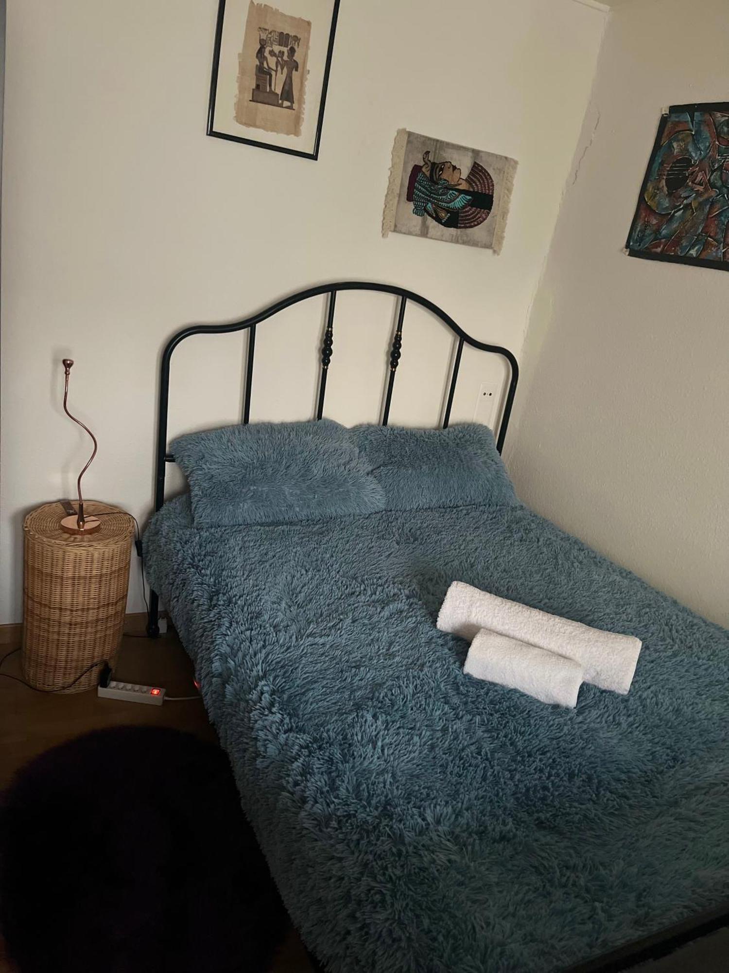 Cozy Apartment Zurich