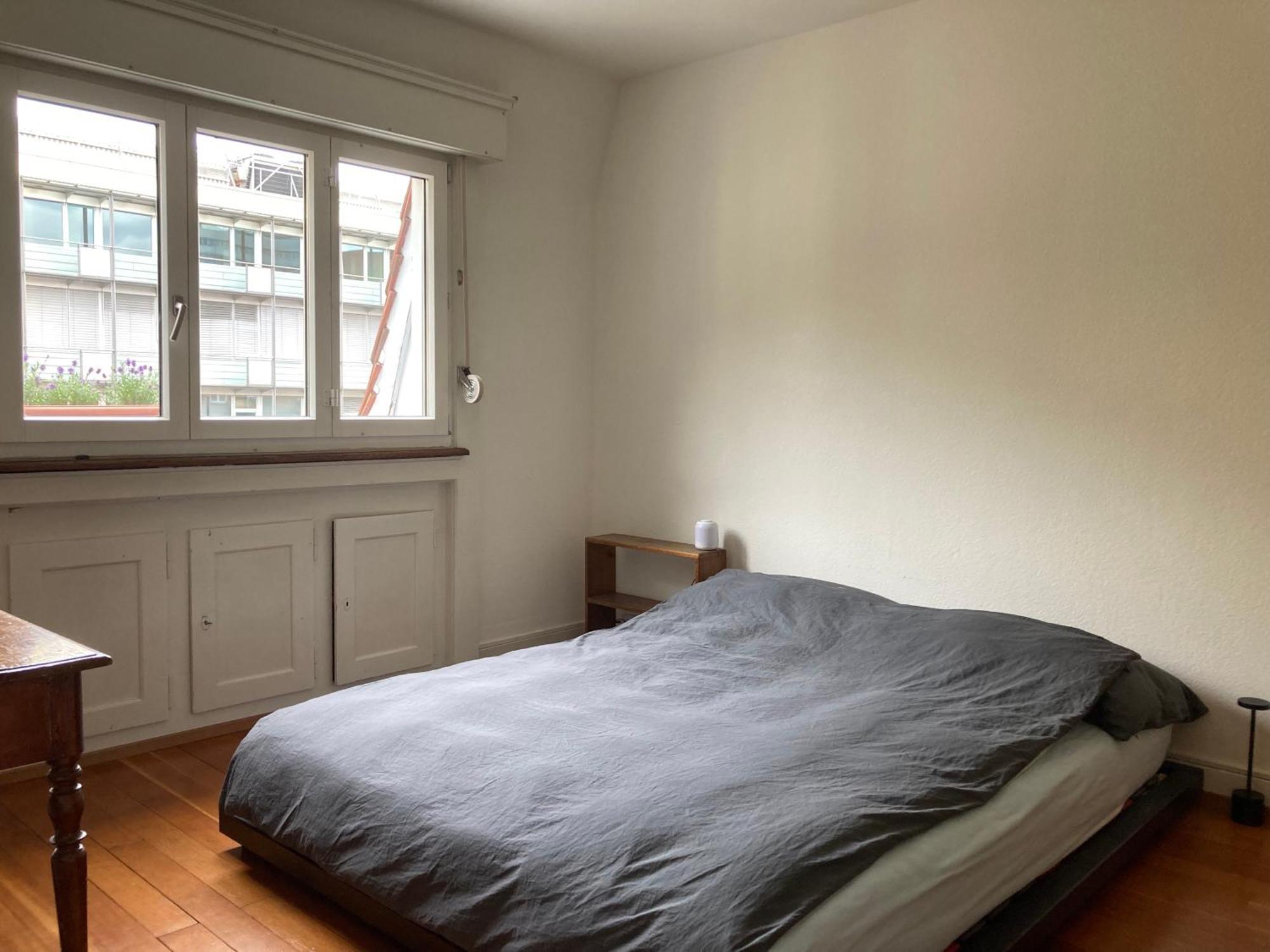 Central Apartment Zurich