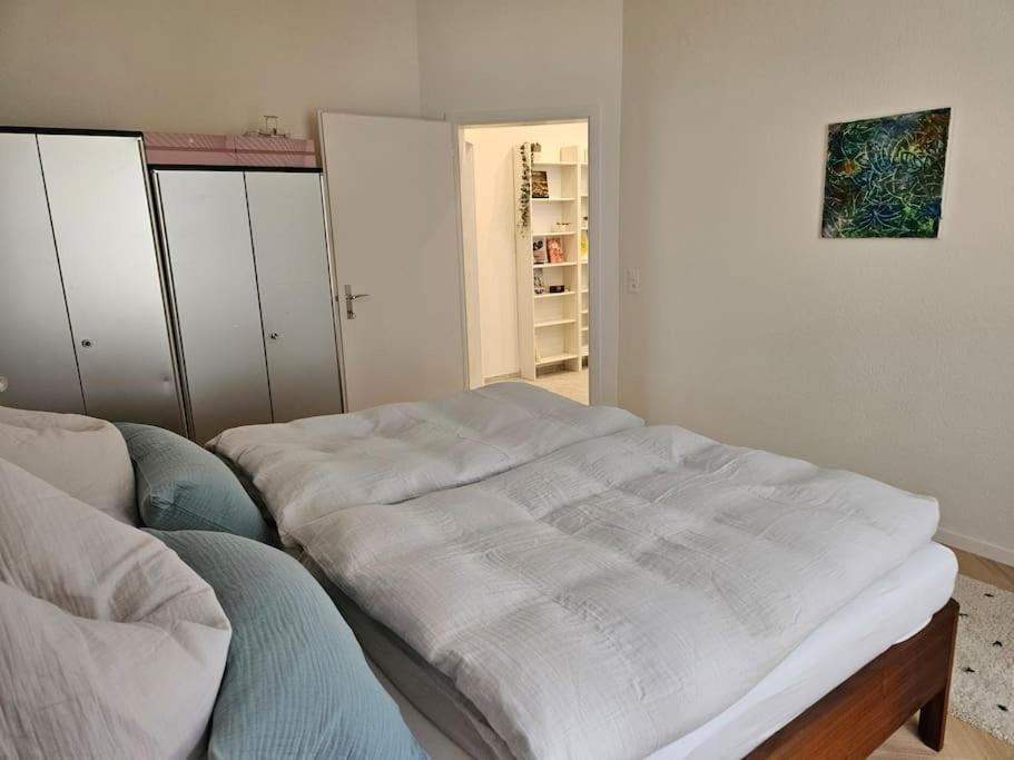 New 2 Bedroom - 15min From Paradeplatz Zurique
