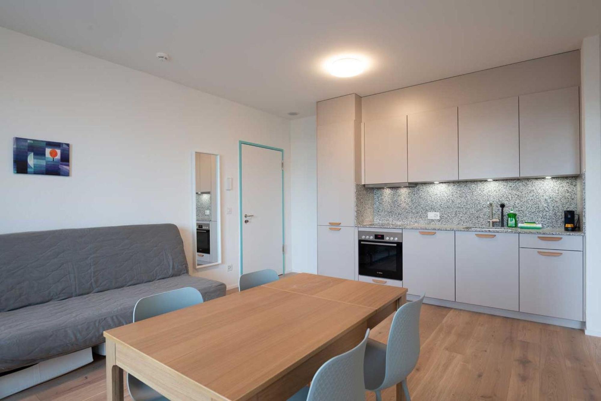 Apartment Hitrental Letzigrund - *