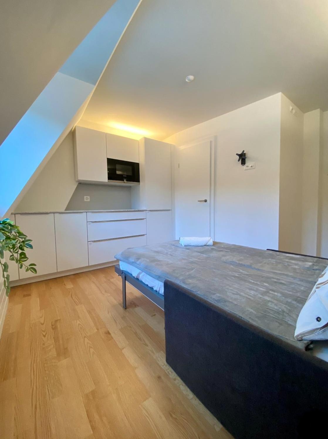 Apartment City Studio Zurich