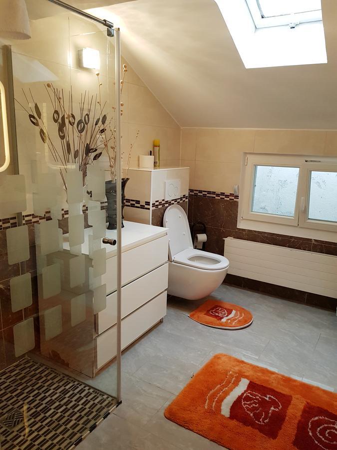 Rosa Apartment Zuerich City Zurich