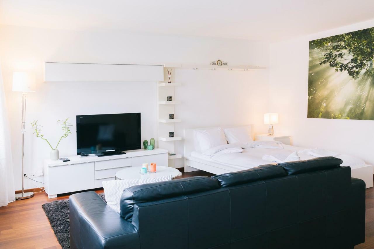 Apartment Superb Bright Apartment With Pocket Wifi !! Zurich