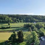 City Feel Good With Forest View