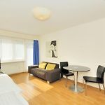 Studio In The Heart Of Zurich - Crown 35