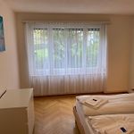 2Br Near City Center - Vineyard 21