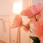 Sage Suite - Kreis 6