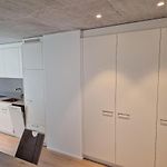 Zuerich Apartment, 38 Sqm