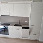 Zuerich Apartment, 38 Sqm