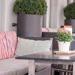 Hotel Krone Unterstrass