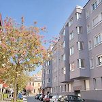 Modern 1Br In The City Center - Flower 41
