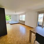 Zurich Center Flats With Balcony - Rigid