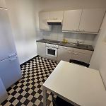 Large Flats, Zurich City Center - Schd