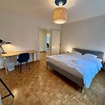 Basic Apartment In Witikon District