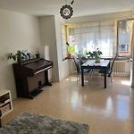Cozy Apartment In The Heart Of The Zurich Botanic Garden