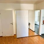 2 Room Center Zurich Flats With Balcony - Hildab