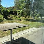 Garden Apartment With Sunny Terrace In Zurich