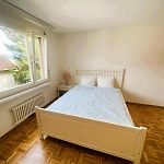 3 Room Old Town Flat - Munstere